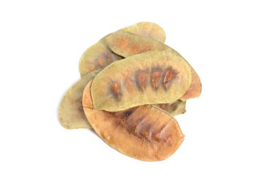 Senna ya da Senna tohumları. Beyaz arkaplanda izole