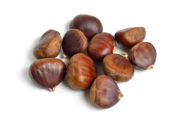 Anadolu kestanesi ya da tatlı kestane meyve. Beyaz arka plan üzerinde izole