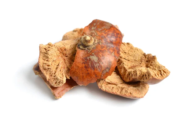 Dried Peels Hyphaene Thebaica Doum Palm Gingerbread Tree Also Doom — Stock fotografie