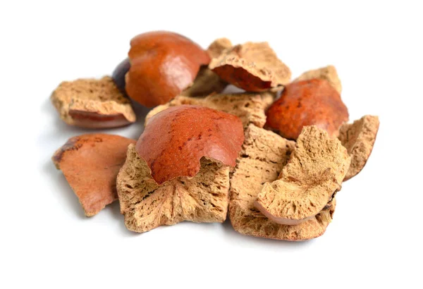 Dried Peels Hyphaene Thebaica Doum Palm Gingerbread Tree Also Doom — Stockfoto