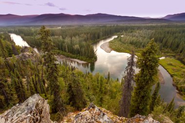 Yukon Kanada Tayga vahşi ve mcquesten Nehri