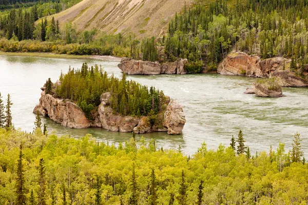 Rapide a cinque dita del fiume Yukon Yukon T Canada — Foto Stock