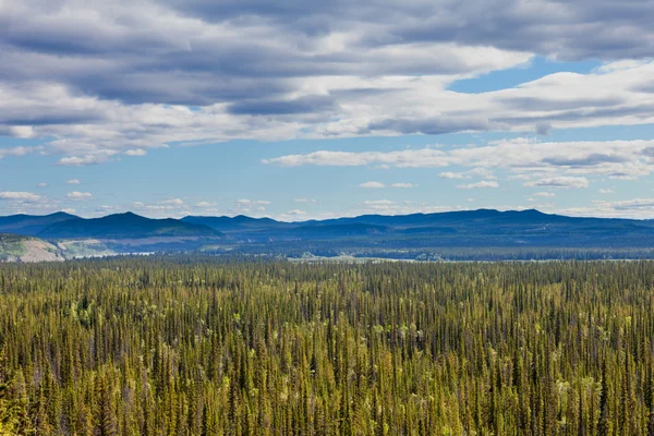 Yukón Central T Canadá taiga y montañas Ogilvie — Foto de Stock