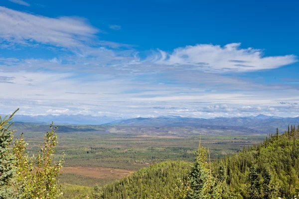 Centrala yukon t Kanada taiga och ogilvie berg — Stockfoto