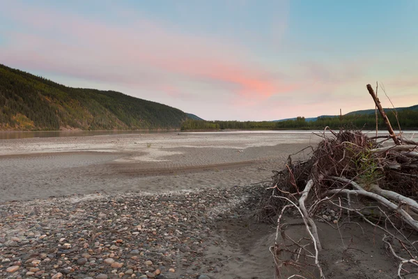 Crepúsculo del atardecer sobre taiga en el río Yukón, Canadá —  Fotos de Stock