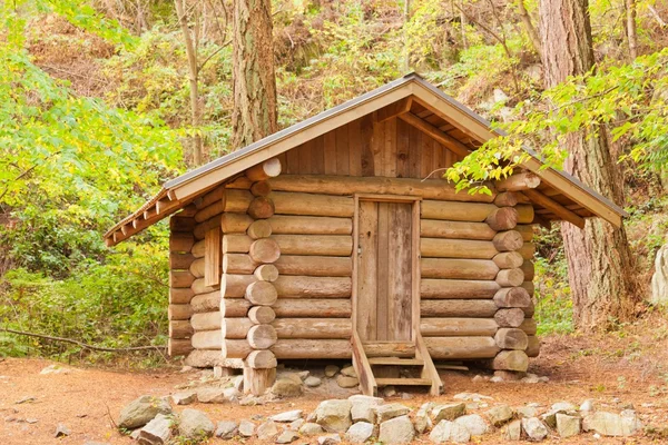 Vecchio rifugio capanna in legno massello nascosto nella foresta — Foto Stock