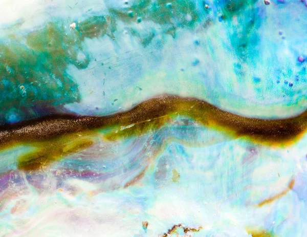 Glänzender Perlmutt aus Paua oder Seeohr — Stockfoto