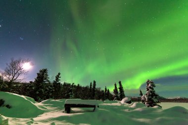 Kuzey ışıkları aurora borealis yoğun görüntüleme