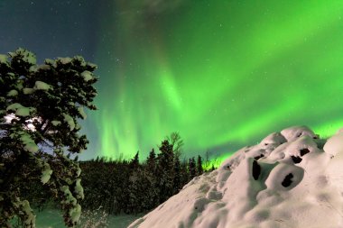 Kuzey ışıkları aurora borealis yoğun görüntüleme