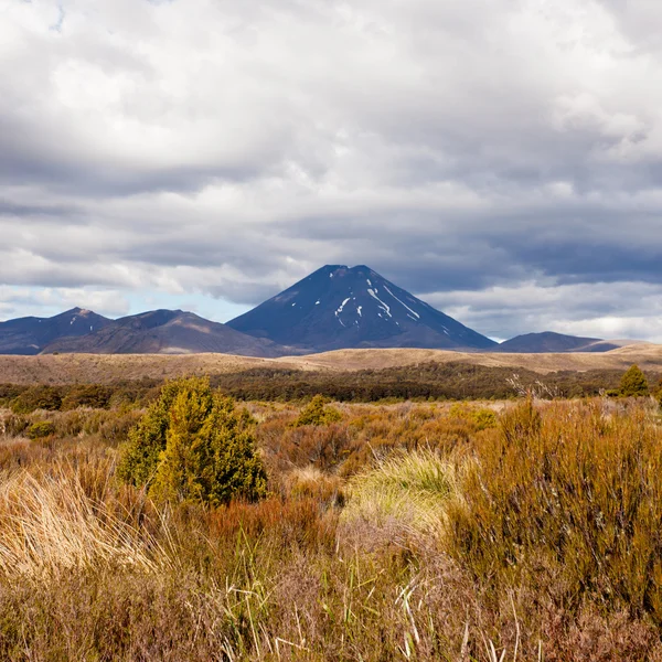 Aktiva vulkanen mount ngauruhoe i tongariro np nz — Stockfoto