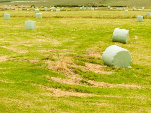 Maszyny zniwne cięcia trawy, siana tworzyw sztucznych opakowane bele — Zdjęcie stockowe