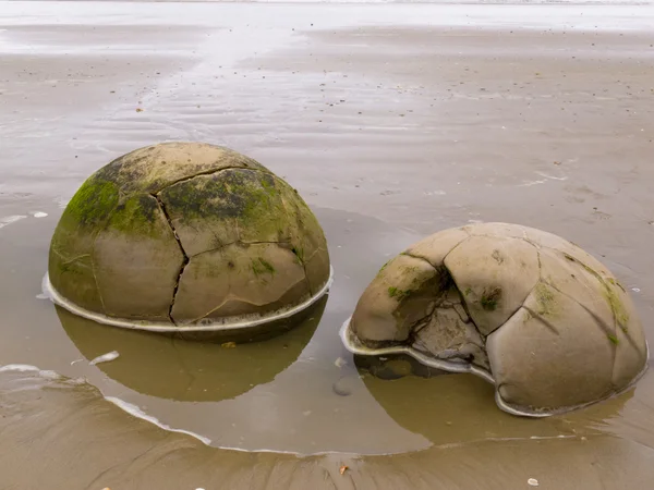 Close-up van beroemde sferische moeraki boulders in nz — Stockfoto