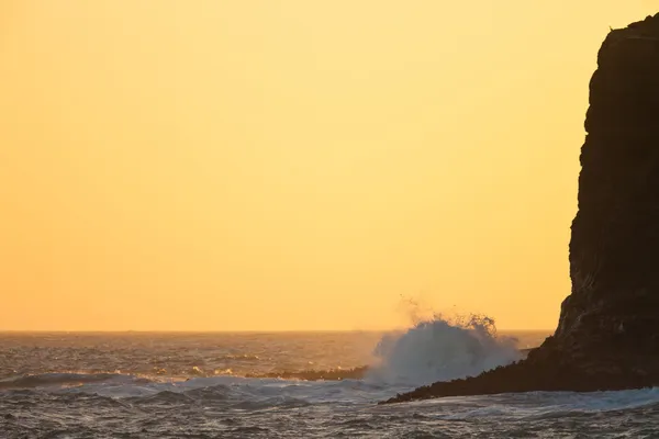Sunset ocean scene wave pounds high cliff shore — Stock Photo, Image