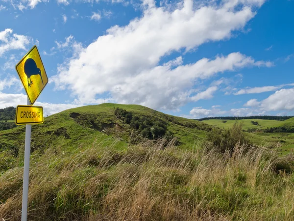 Atención Kiwi Crossing Roadsign y NZ paisaje — Foto de Stock