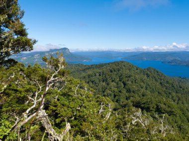doğal urewera np ile göl waikaremoana NZ