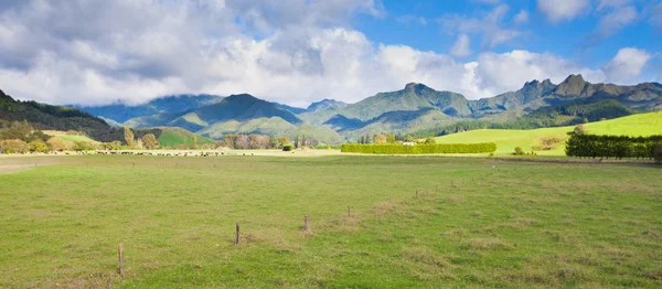 Península de Coromandel Paisaje de pastos de montaña en Nueva Zelanda —  Fotos de Stock