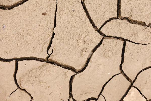 Cracked asciutto terra siccità concetto di fondo — Foto Stock