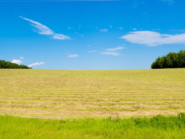 Landbouwgrond landschap gesneden hooi op landbouw weide — Stockfoto