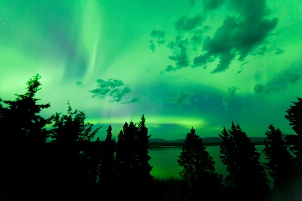 Luces boreales verdes intensas sobre bosques boreales —  Fotos de Stock
