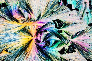 Benzoic acid crystals in polarized light clipart