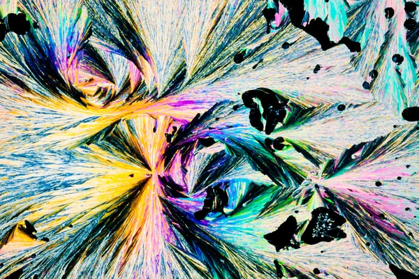 Benzoic acid crystals in polarized light — Stock Photo, Image