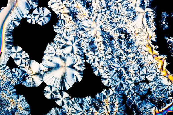 Ascorbic acid crystals in polarized light