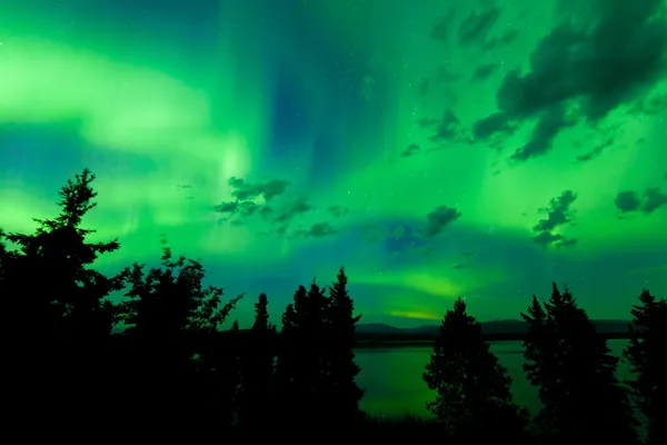 Intensas luzes verdes do norte sobre a floresta boreal — Fotografia de Stock