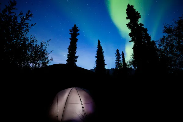 Taiga tenda iluminada sob chamas luzes do norte — Fotografia de Stock