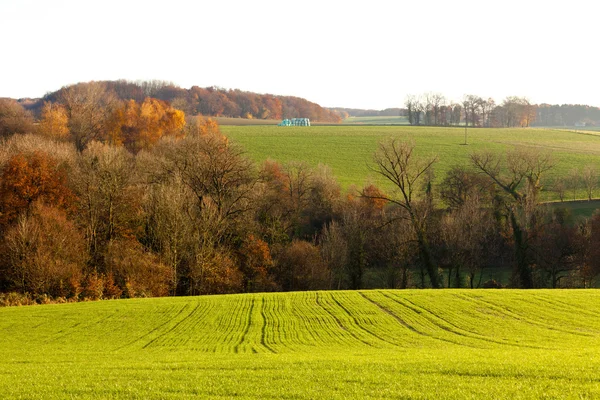 Suavemente onduladas colinas tierras de cultivo de Alemania Europa — Foto de Stock