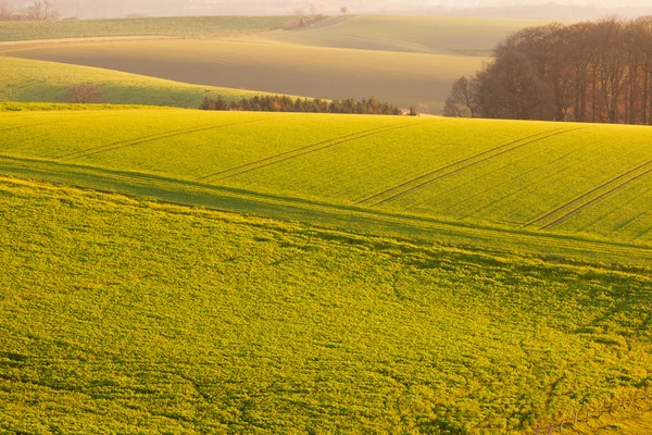 Laminando suavemente colinas terras agrícolas da Alemanha Europa — Fotografia de Stock