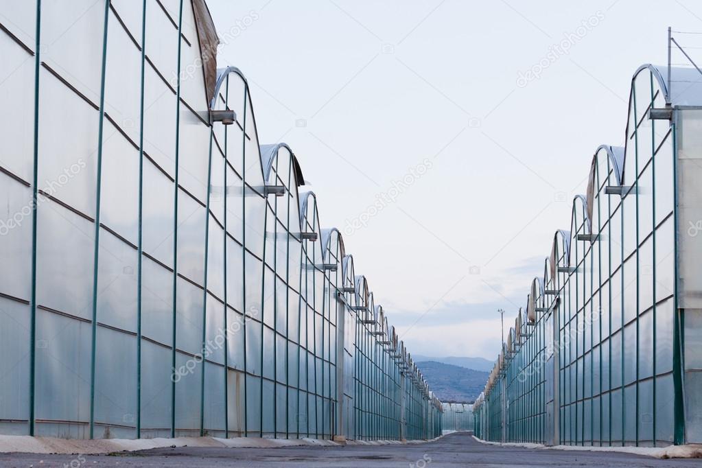 Industrial greenhouse endless glass window row
