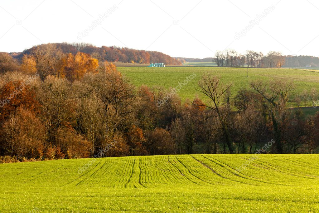 Gently rolling hills farmland of Germany Europe