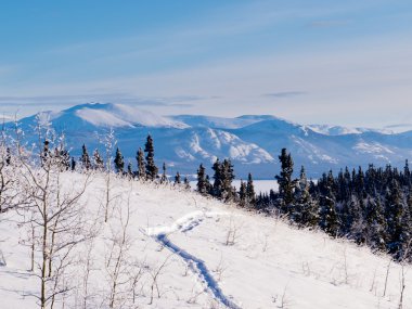Tayga Karayak yolu kış manzara yukon, Kanada