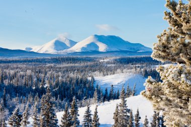 Taiga winter snow landscape Yukon Territory Canada clipart
