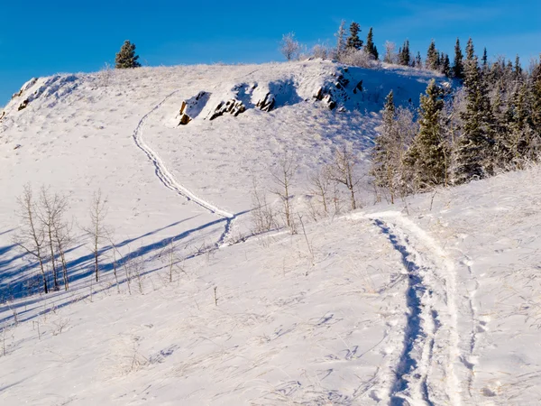 Snowy winter wonderland hills snowshoe track scene — Stock Photo, Image