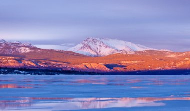 karlı mt laurier donmuş göl laberge yukon Kanada