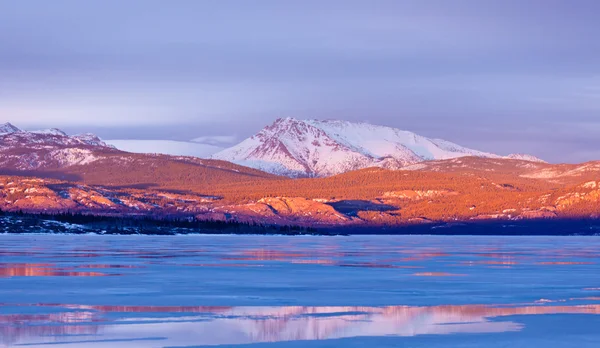 Snöiga mt laurier fryst lake laberge yukon Kanada — Stockfoto