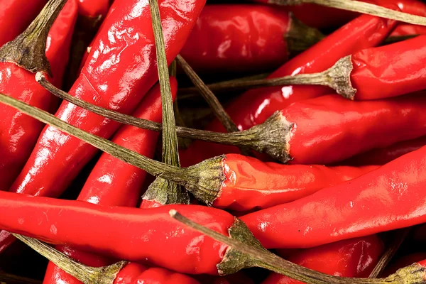 Pimentos de pimentão — Fotografia de Stock