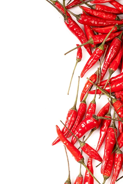 Isolated chili peppers — Stock Photo, Image