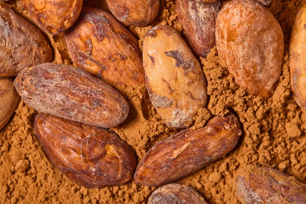 Cacao baclground — Stock Photo, Image