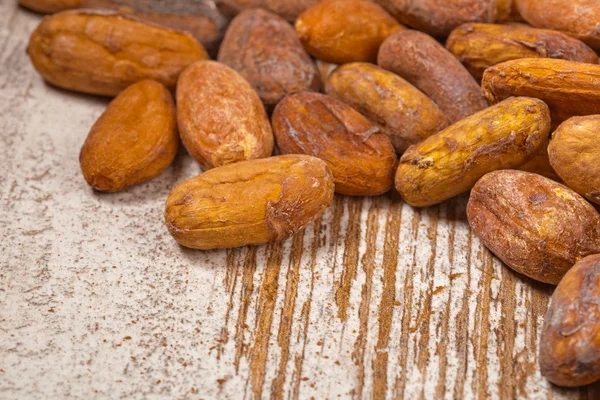 Cacao beans — Stock Photo, Image