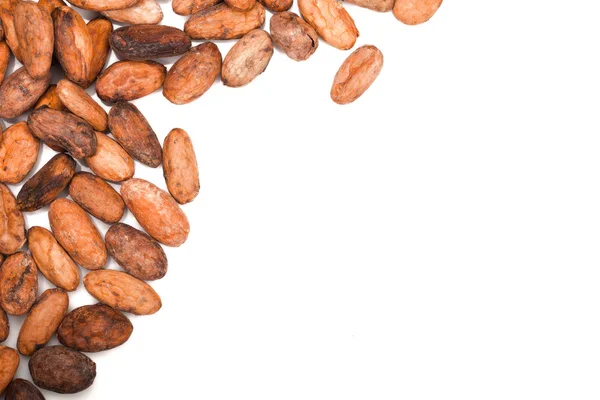 Cacao beans — Stock Photo, Image