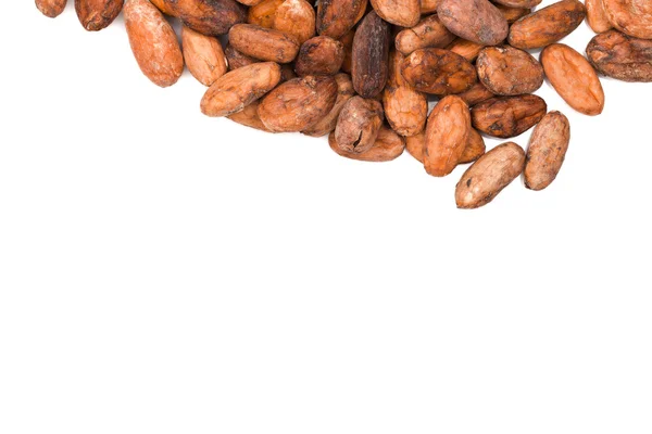 Fagioli di cacao — Foto Stock