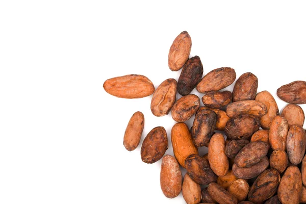 Cacao beans — Stock Photo, Image