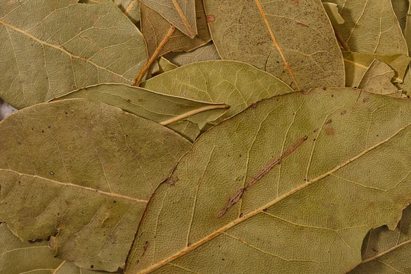 Lagerblad — Stockfoto