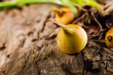 grunge ahşap üzerine soğan