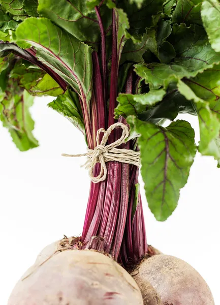 Rödbetor (Beta vulgaris) — Stockfoto