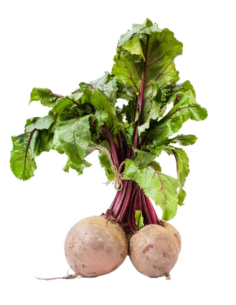 Rödbetor (Beta vulgaris) — Stockfoto