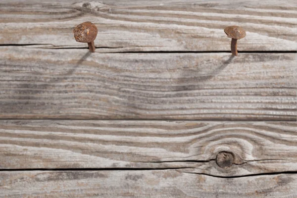 旧木板和两个生锈的钉子 免版税图库图片