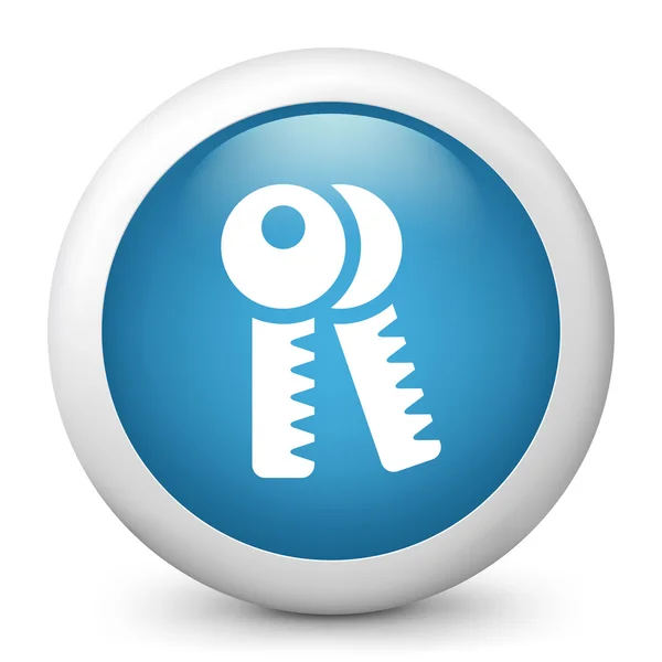 Vector blue glossy icon depicting keys — Stock Vector